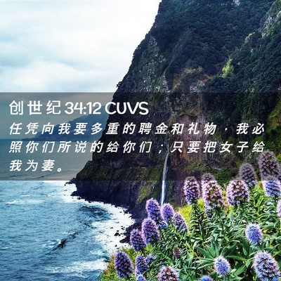 Picture 02 - 创 世 纪 34:12 CUVS - 任 凭 向 我 要 多 重 的 聘 金 和 礼 - Bible Verse Picture