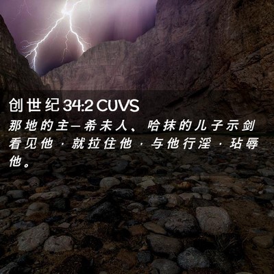 Picture 02 - 创 世 纪 34:2 CUVS - 那 地 的 主 ─ 希 未 人 、 哈 抹 的 - Bible Verse Picture