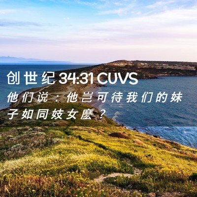Picture 02 - 创 世 纪 34:31 CUVS - 他 们 说 ： 他 岂 可 待 我 们 的 妹 - Bible Verse Picture