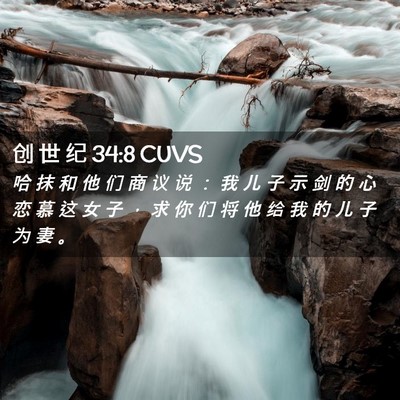 Picture 02 - 创 世 纪 34:8 CUVS - 哈 抹 和 他 们 商 议 说 ： 我 儿 子 - Bible Verse Picture
