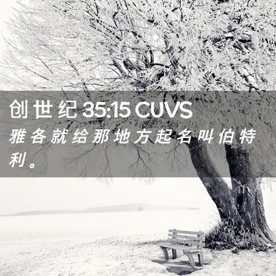 Picture 02 - 创 世 纪 35:15 CUVS - 雅 各 就 给 那 地 方 起 名 叫 伯 特 - Bible Verse Picture