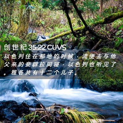 Picture 02 - 创 世 纪 35:22 CUVS - 以 色 列 住 在 那 地 的 时 候 ， 流 - Bible Verse Picture
