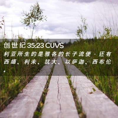 Picture 02 - 创 世 纪 35:23 CUVS - 利 亚 所 生 的 是 雅 各 的 长 子 流 - Bible Verse Picture