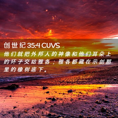 Picture 02 - 创 世 纪 35:4 CUVS - 他 们 就 把 外 邦 人 的 神 像 和 他 - Bible Verse Picture