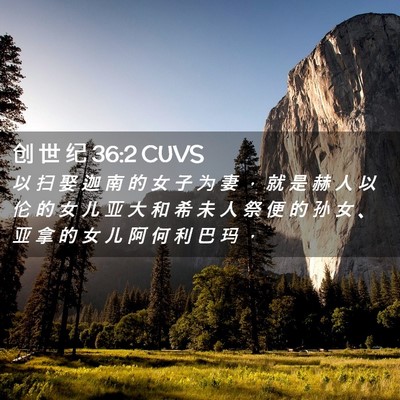 Picture 02 - 创 世 纪 36:2 CUVS - 以 扫 娶 迦 南 的 女 子 为 妻 ， 就 - Bible Verse Picture