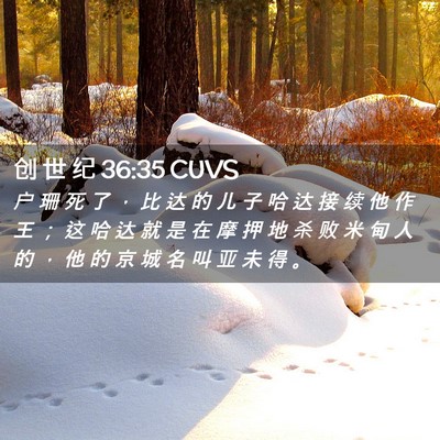 Picture 02 - 创 世 纪 36:35 CUVS - 户 珊 死 了 ， 比 达 的 儿 子 哈 达 - Bible Verse Picture