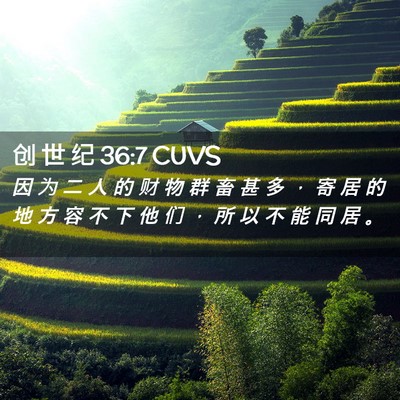 Picture 02 - 创 世 纪 36:7 CUVS - 因 为 二 人 的 财 物 群 畜 甚 多 ， - Bible Verse Picture