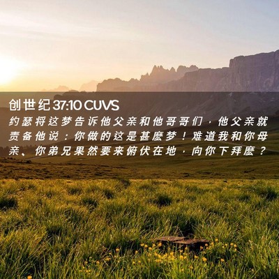 Picture 02 - 创 世 纪 37:10 CUVS - 约 瑟 将 这 梦 告 诉 他 父 亲 和 他 - Bible Verse Picture