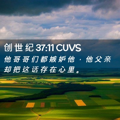 Picture 02 - 创 世 纪 37:11 CUVS - 他 哥 哥 们 都 嫉 妒 他 ， 他 父 亲 - Bible Verse Picture