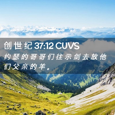 Picture 02 - 创 世 纪 37:12 CUVS - 约 瑟 的 哥 哥 们 往 示 剑 去 放 他 - Bible Verse Picture