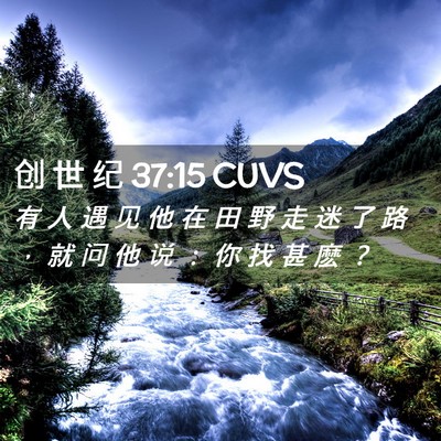 Picture 02 - 创 世 纪 37:15 CUVS - 有 人 遇 见 他 在 田 野 走 迷 了 路 - Bible Verse Picture