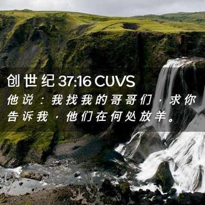 Picture 02 - 创 世 纪 37:16 CUVS - 他 说 ： 我 找 我 的 哥 哥 们 ， 求 - Bible Verse Picture