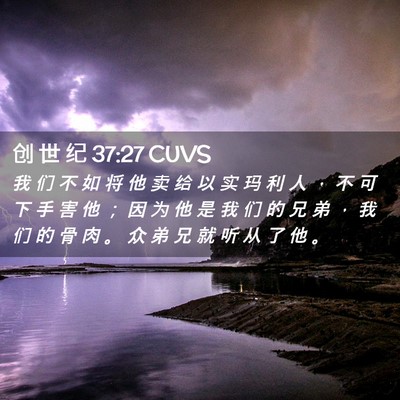 Picture 02 - 创 世 纪 37:27 CUVS - 我 们 不 如 将 他 卖 给 以 实 玛 利 - Bible Verse Picture