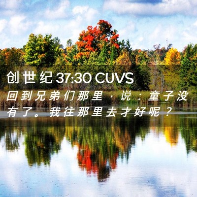 Picture 02 - 创 世 纪 37:30 CUVS - 回 到 兄 弟 们 那 里 ， 说 ： 童 子 - Bible Verse Picture