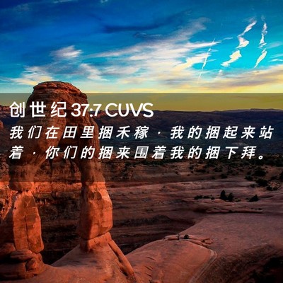 Picture 02 - 创 世 纪 37:7 CUVS - 我 们 在 田 里 捆 禾 稼 ， 我 的 捆 - Bible Verse Picture