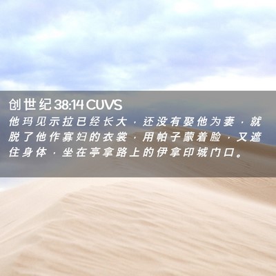 Picture 02 - 创 世 纪 38:14 CUVS - 他 玛 见 示 拉 已 经 长 大 ， 还 没 - Bible Verse Picture