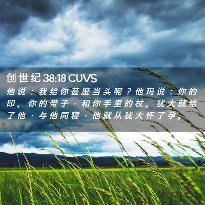 Picture 02 - 创 世 纪 38:18 CUVS - 他 说 ： 我 给 你 甚 麽 当 头 呢 ？ - Bible Verse Picture