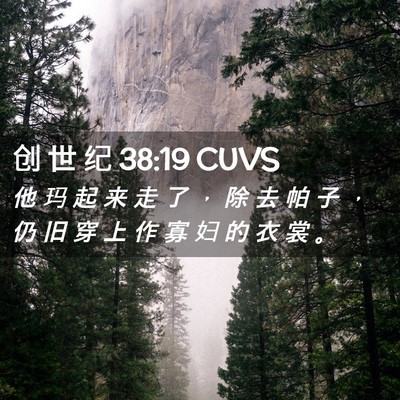 Picture 02 - 创 世 纪 38:19 CUVS - 他 玛 起 来 走 了 ， 除 去 帕 子 ， - Bible Verse Picture