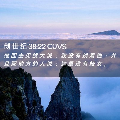 Picture 02 - 创 世 纪 38:22 CUVS - 他 回 去 见 犹 大 说 ： 我 没 有 找 - Bible Verse Picture