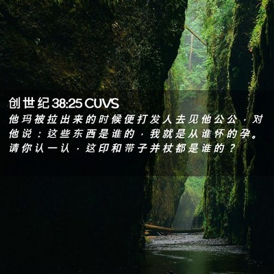 Picture 02 - 创 世 纪 38:25 CUVS - 他 玛 被 拉 出 来 的 时 候 便 打 发 - Bible Verse Picture