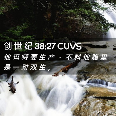 Picture 02 - 创 世 纪 38:27 CUVS - 他 玛 将 要 生 产 ， 不 料 他 腹 里 - Bible Verse Picture