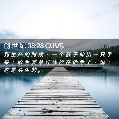Picture 02 - 创 世 纪 38:28 CUVS - 到 生 产 的 时 候 ， 一 个 孩 子 伸 - Bible Verse Picture