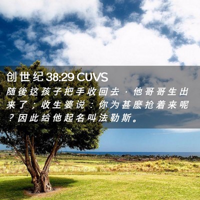 Picture 02 - 创 世 纪 38:29 CUVS - 随 後 这 孩 子 把 手 收 回 去 ， 他 - Bible Verse Picture