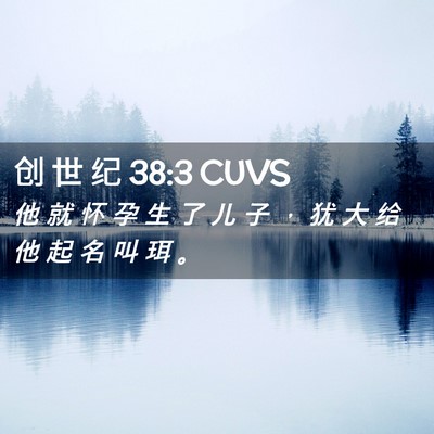 Picture 02 - 创 世 纪 38:3 CUVS - 他 就 怀 孕 生 了 儿 子 ， 犹 大 给 - Bible Verse Picture