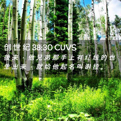 Picture 02 - 创 世 纪 38:30 CUVS - 後 来 ， 他 兄 弟 那 手 上 有 红 线 - Bible Verse Picture
