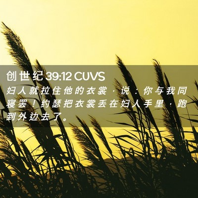 Picture 02 - 创 世 纪 39:12 CUVS - 妇 人 就 拉 住 他 的 衣 裳 ， 说 ： - Bible Verse Picture