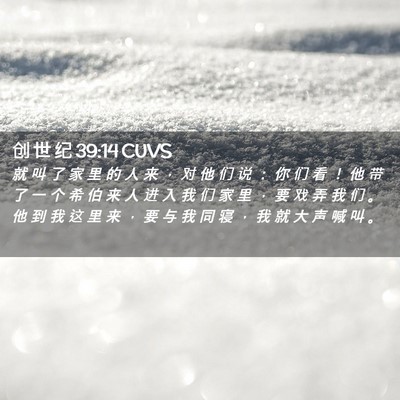 Picture 02 - 创 世 纪 39:14 CUVS - 就 叫 了 家 里 的 人 来 ， 对 他 们 - Bible Verse Picture
