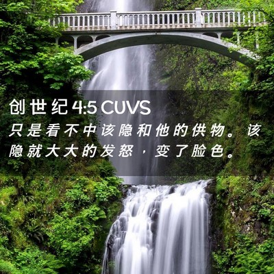 Picture 02 - 创 世 纪 4:5 CUVS - 只 是 看 不 中 该 隐 和 他 的 供 物 - Bible Verse Picture