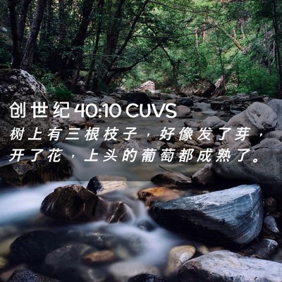 Picture 02 - 创 世 纪 40:10 CUVS - 树 上 有 三 根 枝 子 ， 好 像 发 了 - Bible Verse Picture