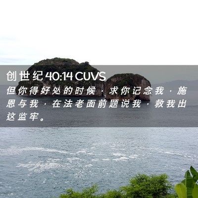 Picture 02 - 创 世 纪 40:14 CUVS - 但 你 得 好 处 的 时 候 ， 求 你 记 - Bible Verse Picture