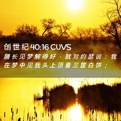 Picture 02 - 创 世 纪 40:16 CUVS - 膳 长 见 梦 解 得 好 ， 就 对 约 瑟 - Bible Verse Picture