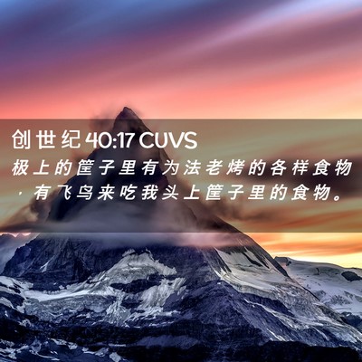 Picture 02 - 创 世 纪 40:17 CUVS - 极 上 的 筐 子 里 有 为 法 老 烤 的 - Bible Verse Picture