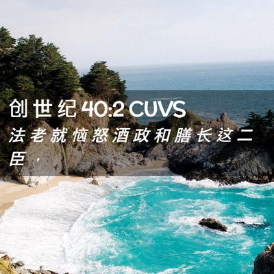Picture 02 - 创 世 纪 40:2 CUVS - 法 老 就 恼 怒 酒 政 和 膳 长 这 二 - Bible Verse Picture