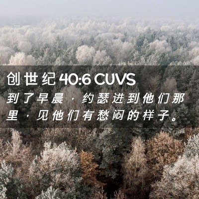 Picture 02 - 创 世 纪 40:6 CUVS - 到 了 早 晨 ， 约 瑟 进 到 他 们 那 - Bible Verse Picture