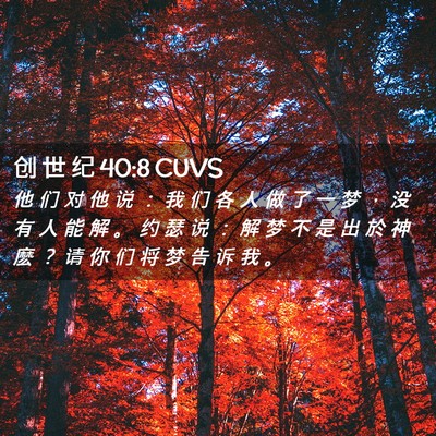 Picture 02 - 创 世 纪 40:8 CUVS - 他 们 对 他 说 ： 我 们 各 人 做 了 - Bible Verse Picture