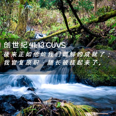 Picture 02 - 创 世 纪 41:13 CUVS - 後 来 正 如 他 给 我 们 圆 解 的 成 - Bible Verse Picture