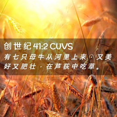 Picture 02 - 创 世 纪 41:2 CUVS - 有 七 只 母 牛 从 河 里 上 来 ， 又 - Bible Verse Picture