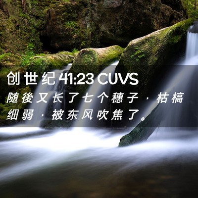 Picture 02 - 创 世 纪 41:23 CUVS - 随 後 又 长 了 七 个 穗 子 ， 枯 槁 - Bible Verse Picture