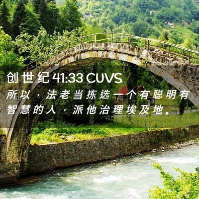 Picture 02 - 创 世 纪 41:33 CUVS - 所 以 ， 法 老 当 拣 选 一 个 有 聪 - Bible Verse Picture