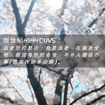 Picture 02 - 创 世 纪 41:44 CUVS - 法 老 对 约 瑟 说 ： 我 是 法 老 ， - Bible Verse Picture