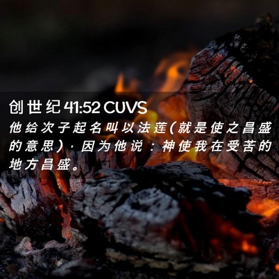 Picture 02 - 创 世 纪 41:52 CUVS - 他 给 次 子 起 名 叫 以 法 莲 ( 就 是 - Bible Verse Picture