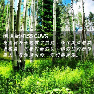 Picture 02 - 创 世 纪 41:55 CUVS - 及 至 埃 及 全 地 有 了 饥 荒 ， 众 - Bible Verse Picture