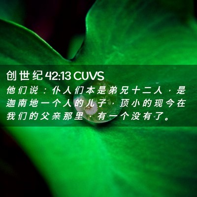 Picture 02 - 创 世 纪 42:13 CUVS - 他 们 说 ： 仆 人 们 本 是 弟 兄 十 - Bible Verse Picture