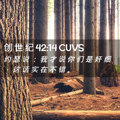 Picture 02 - 创 世 纪 42:14 CUVS - 约 瑟 说 ： 我 才 说 你 们 是 奸 细 - Bible Verse Picture