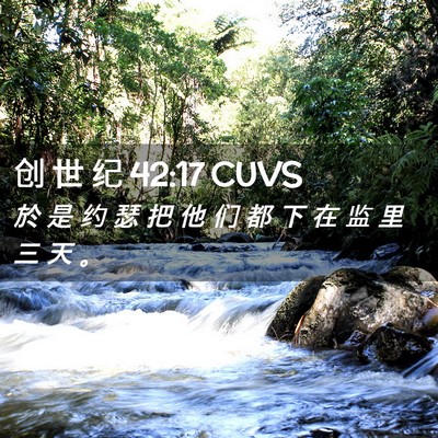 Picture 02 - 创 世 纪 42:17 CUVS - 於 是 约 瑟 把 他 们 都 下 在 监 里 - Bible Verse Picture