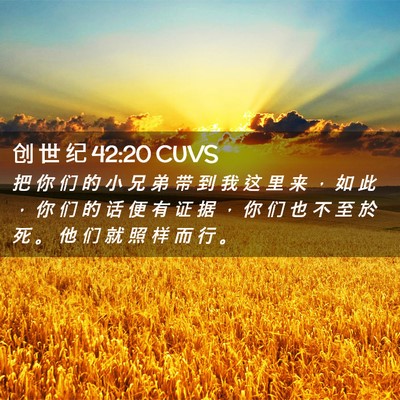 Picture 02 - 创 世 纪 42:20 CUVS - 把 你 们 的 小 兄 弟 带 到 我 这 里 - Bible Verse Picture